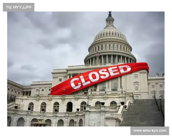 媒体析特朗普观赛争议：体育政治界限再引辩论